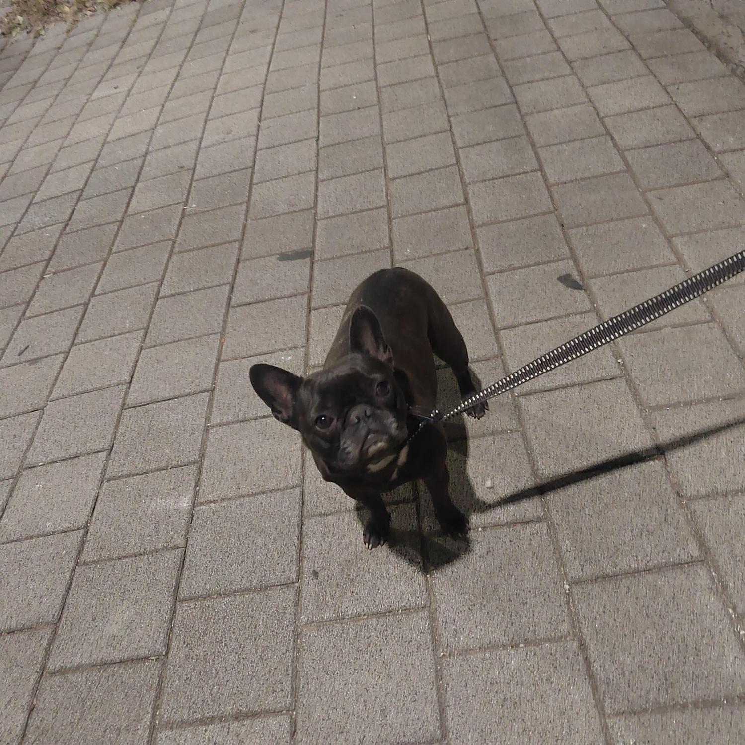 종료(반환) 프렌치…